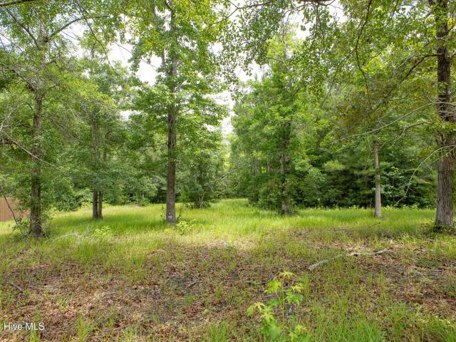 Land for sale in North Carolina
