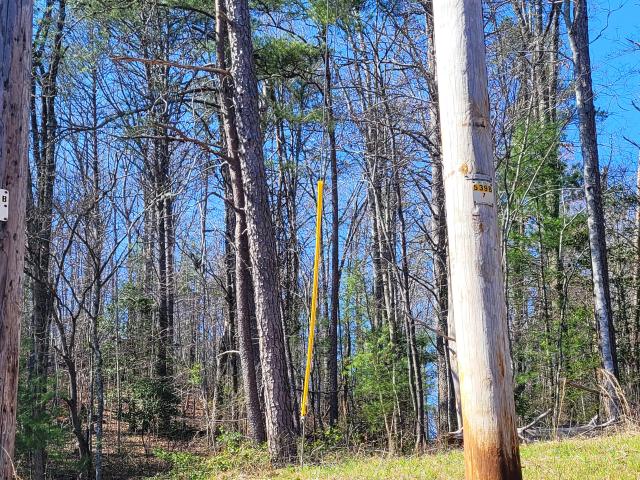 Land for sale in Copperhill