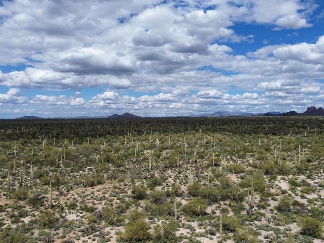 Land for sale in Marana, Arizona