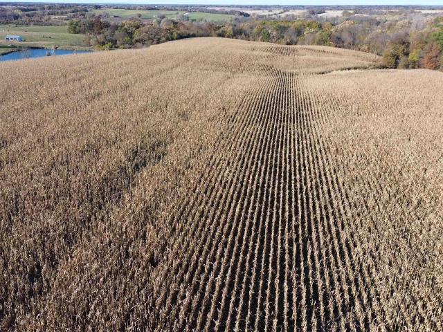 Farm for sale in Davis, Iowa