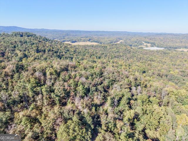 Land for sale in Hollingsworth, Baldwin