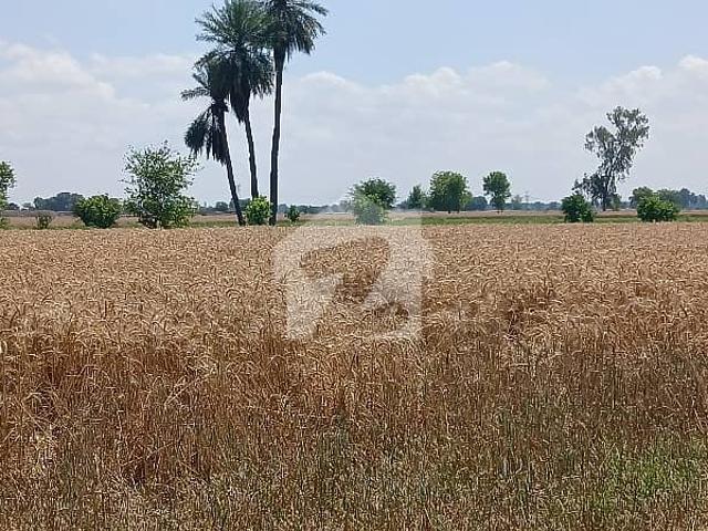 Land for sale in Rahim Yar Khan, Islamabad Capital Territory
