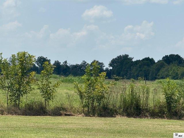 Farm for sale in Rayville, Louisiana