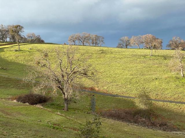 Property for sale in Sutter Creek, California