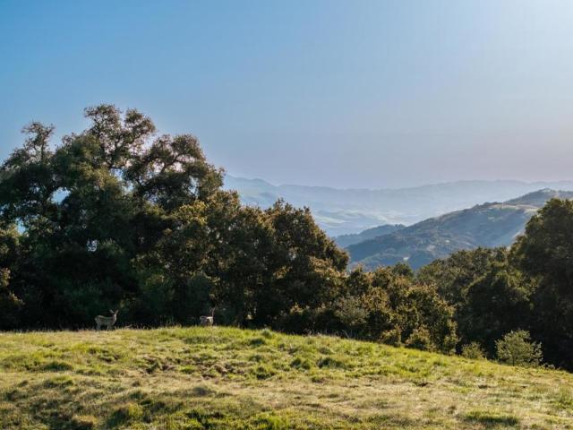 Land for sale in Santa Lucia Preserve, Carmel-by-the-Sea