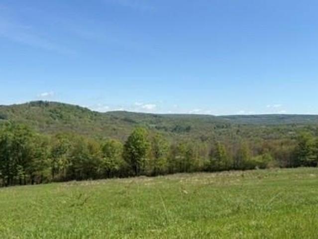 Land for sale in New York