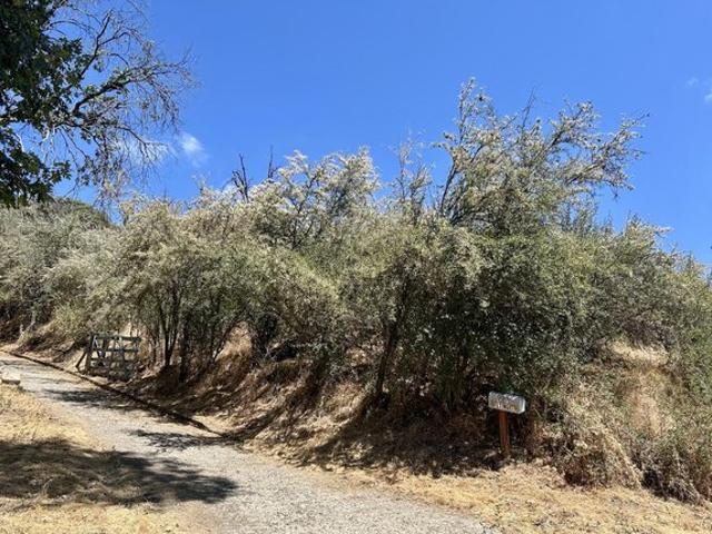 Land for sale in Tulare, California
