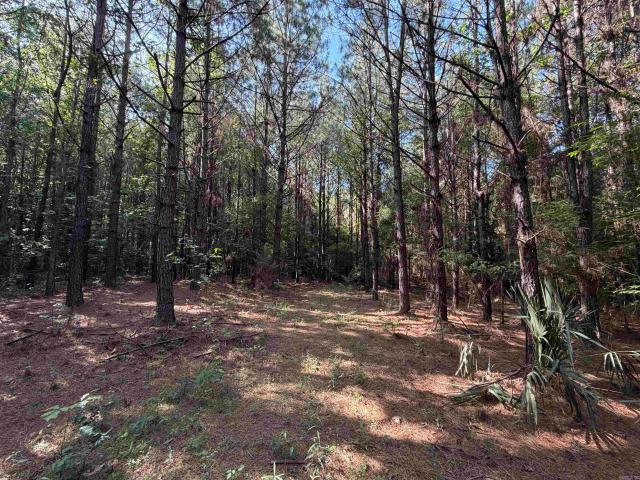 Land for sale in Ark