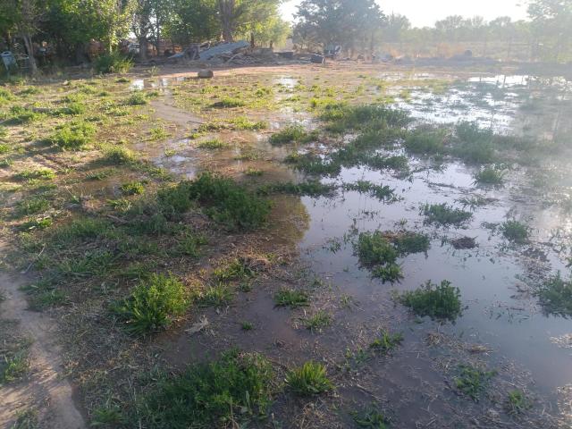 Land for sale in Belen, New Mexico
