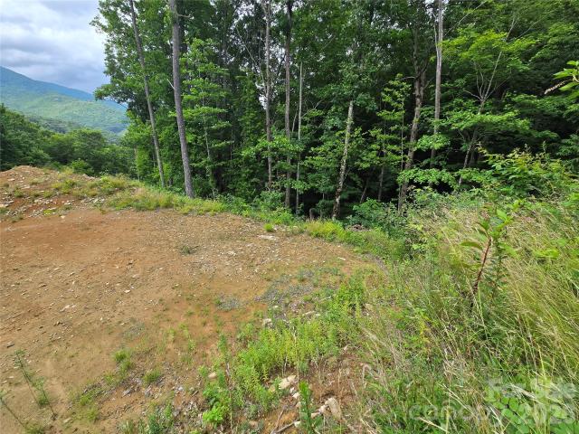 Land for sale in Haywood, North Carolina