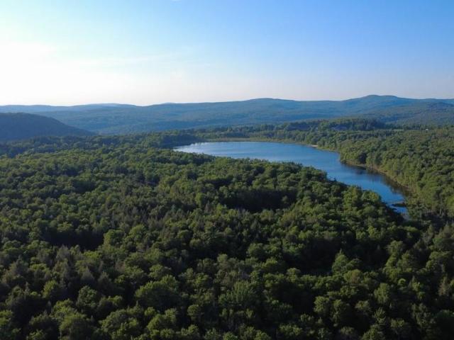 House for sale in Roscoe, New York