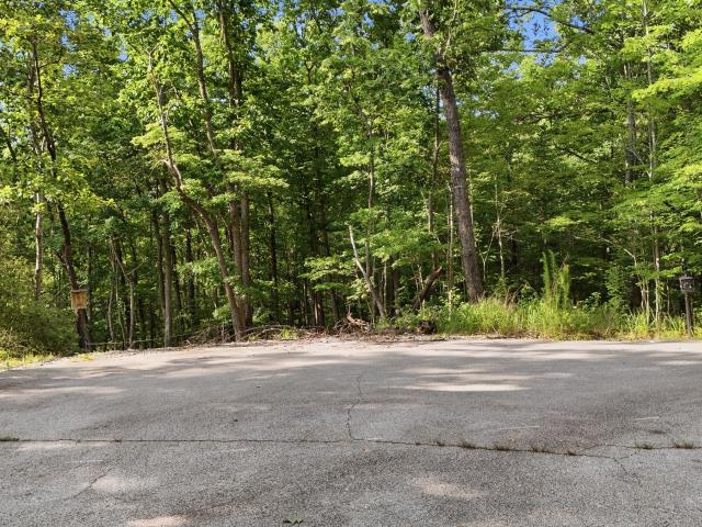 Land for sale in Toccoa, Georgia