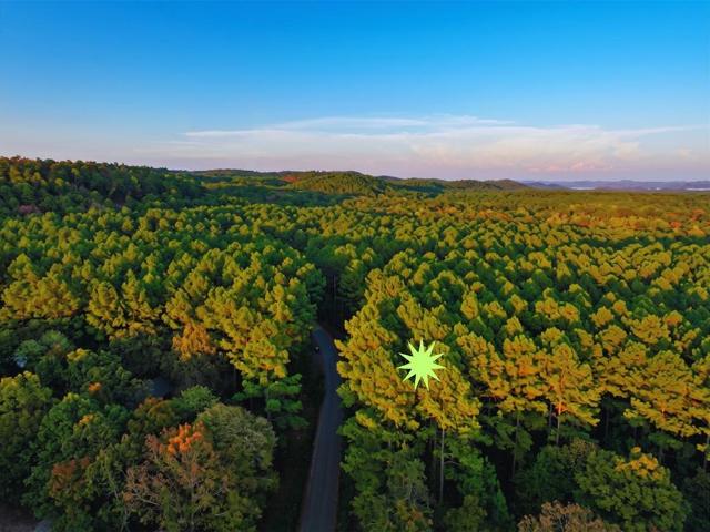 Land for sale in Broken Bow, Oklahoma