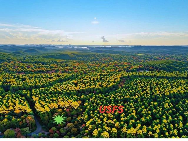 Land for sale in Broken Bow, Oklahoma