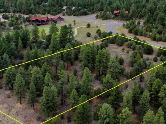 Land for sale in Ridgway, Colorado