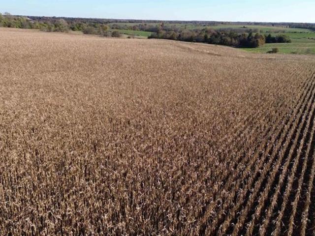 Farm for sale in Davis, Iowa