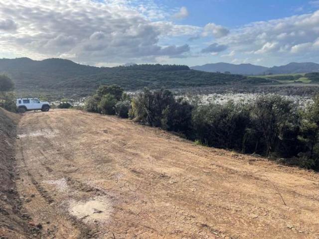 Land for sale in Great Barrier Island
