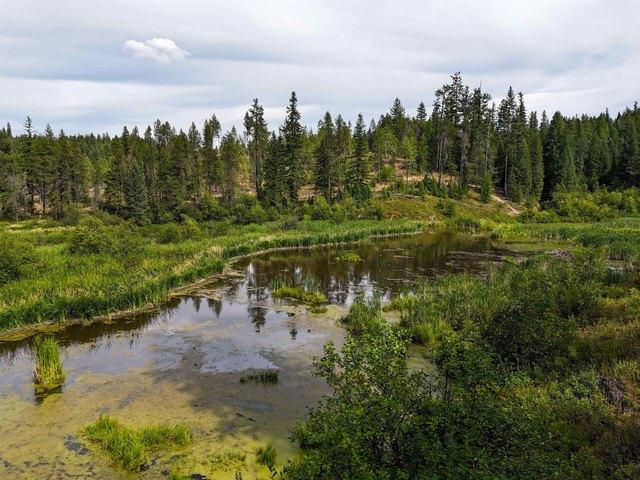 Land for sale in Ford, Washington