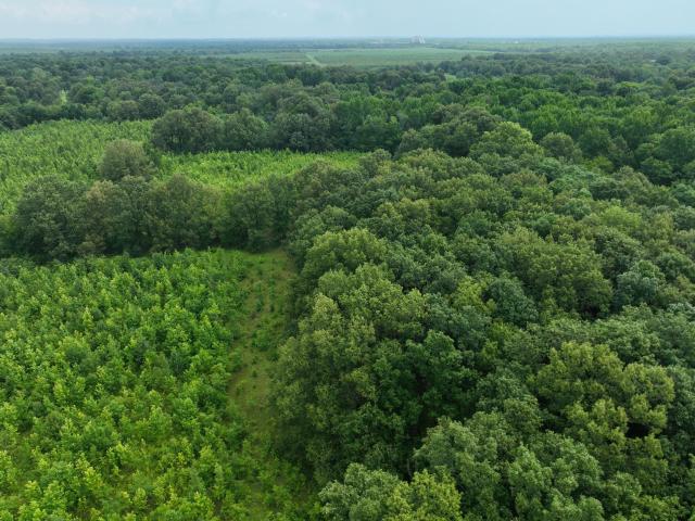 Farm for sale in Paducah, Kentucky