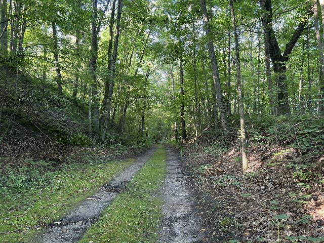 Land for sale in Michigan