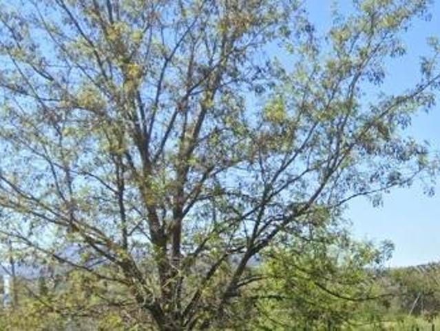 Terreno en venta en Frailes, Andalucía