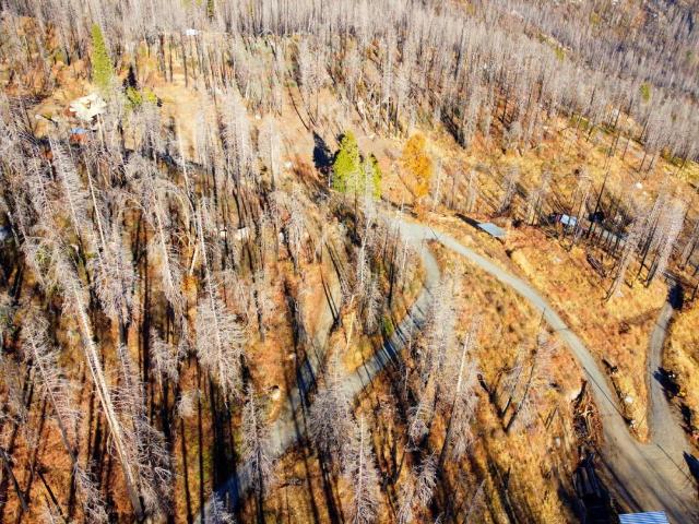 Land for sale in Springville