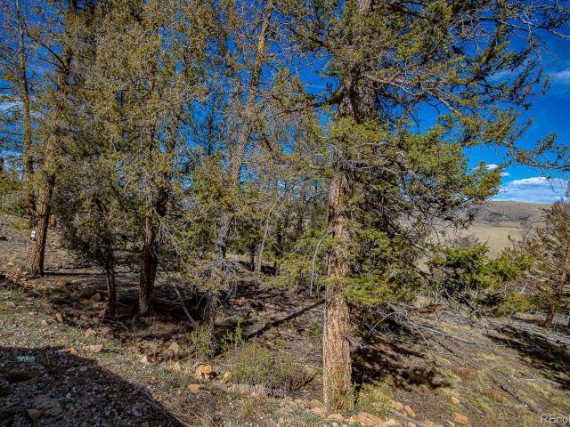 Land for sale in Fairplay, Colorado