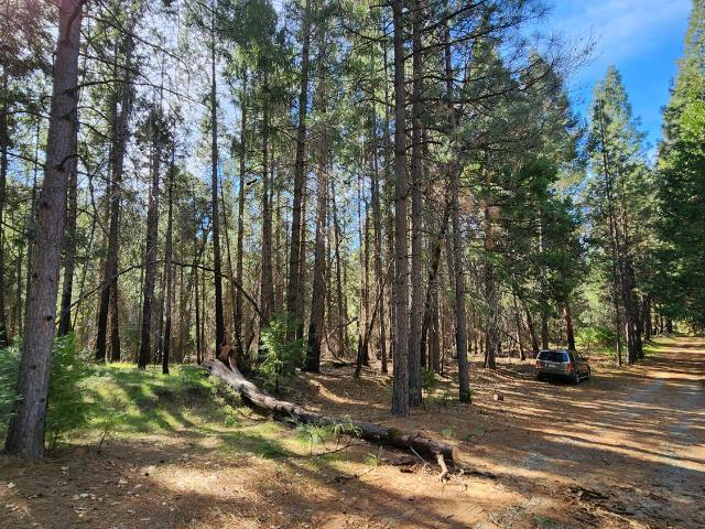 Land for sale in California
