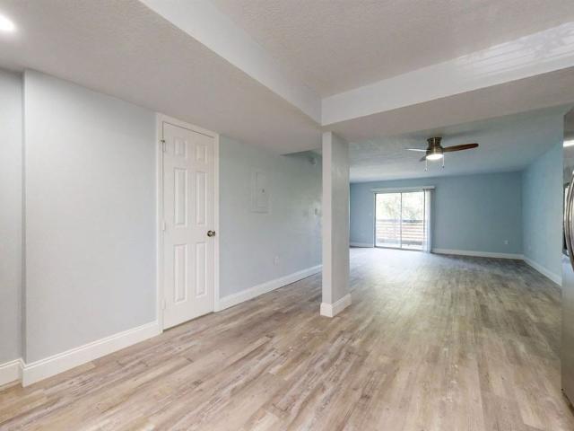 Apartment for rent in Hyde Park, Tampa