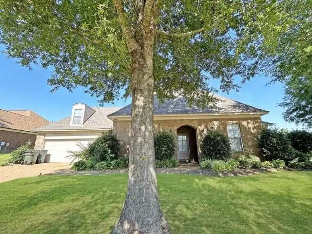 House for rent in Southaven