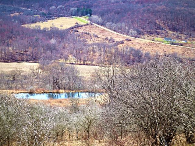 Land for sale in Hinsdale, New York