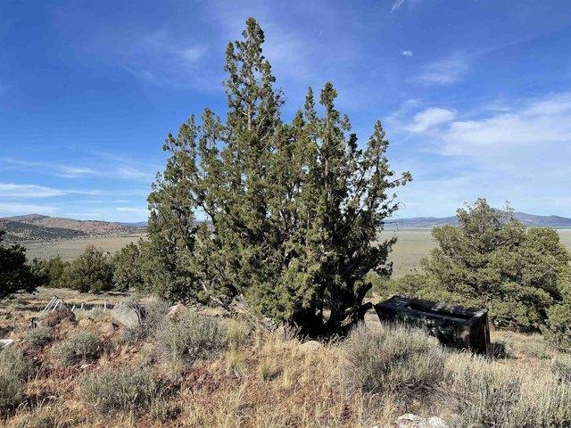 Land for sale in Termo, Lassen County