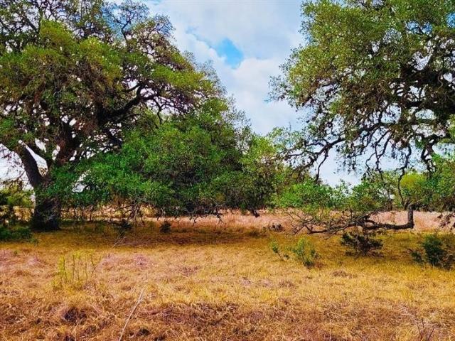 Land for sale in Bridlegate, Bandera