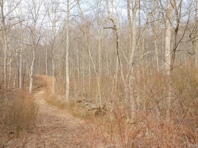 Land for sale in Holmes, New York