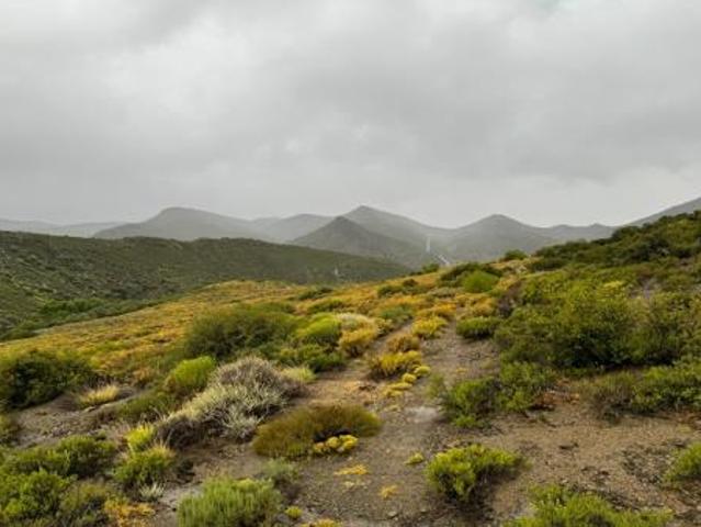 Land for sale in Montagu, Western Cape