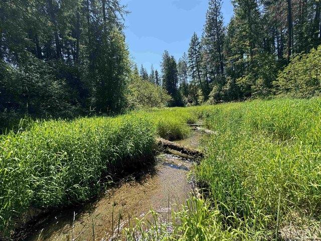 Land for sale in Ford, Washington