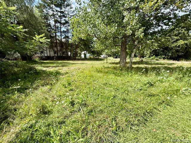 Land for sale in Michigan