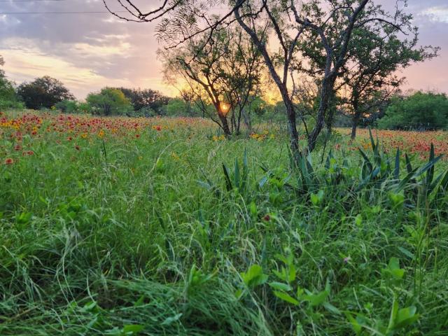 Land for sale in Mills, Texas