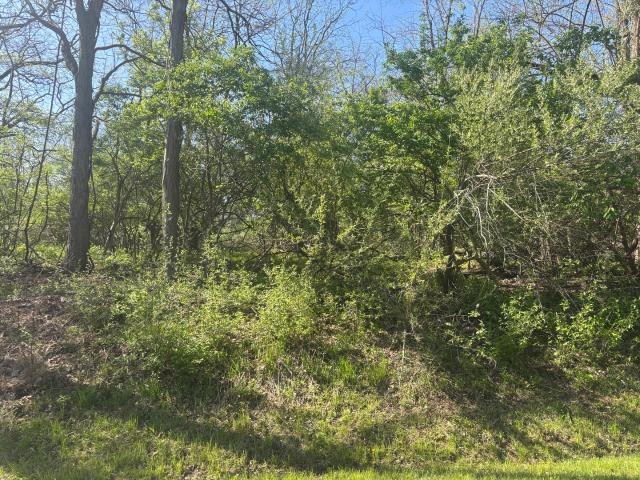 Land for sale in Marshall, Illinois