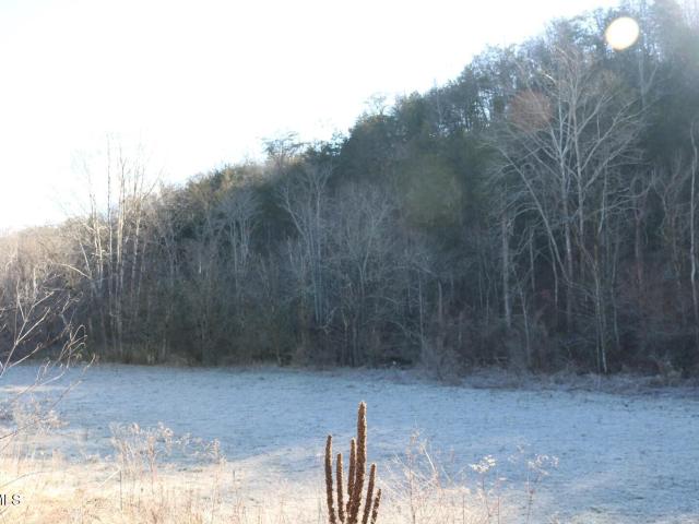 Land for sale in Tennessee
