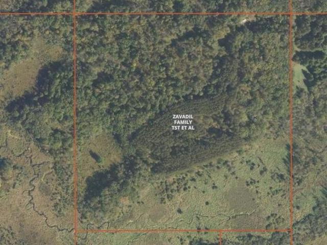 Land for sale in Deer Creek, Minnesota