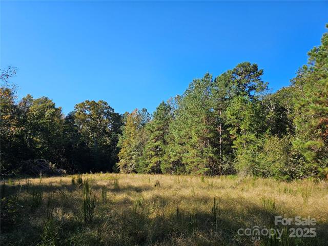 Land for sale in Fort Lawn, South Carolina