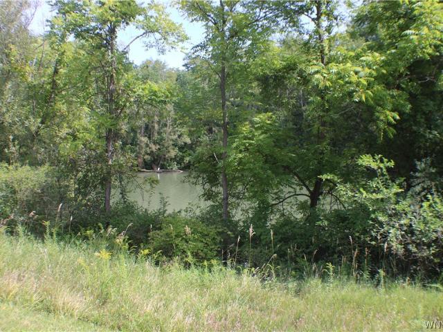 House for sale in Niagara, New York