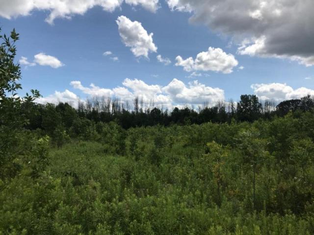 Land for sale in Michigan