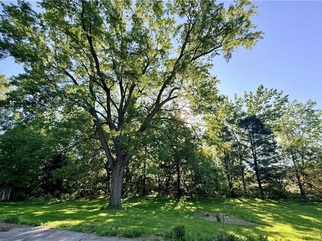 House for sale in Elba, New York