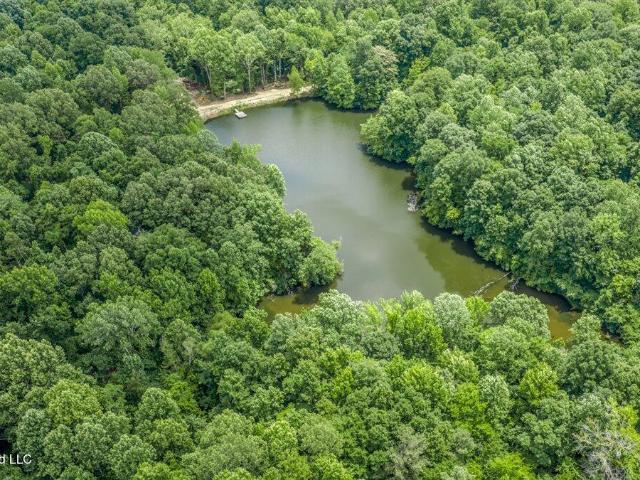 Land for sale in Tate, Mississippi