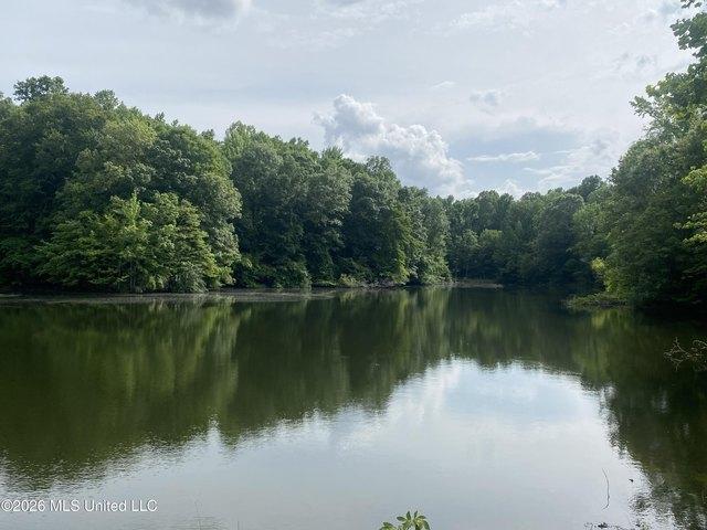 Land for sale in Tate, Mississippi