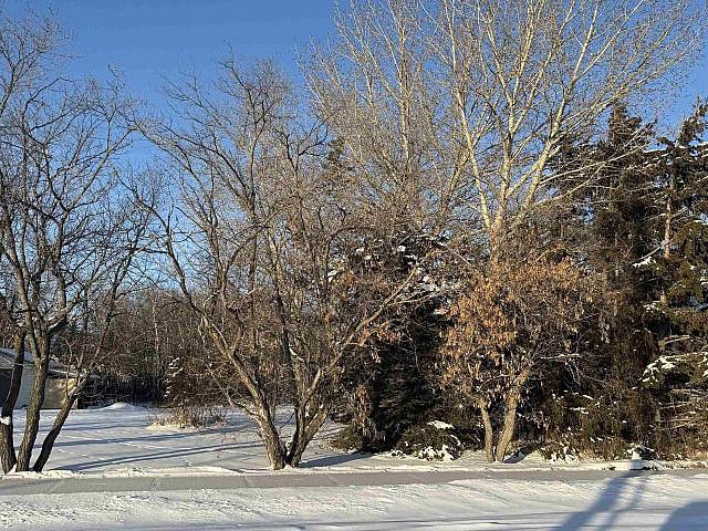Land for sale in Alberta