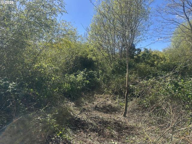 Land for sale in Oregonia