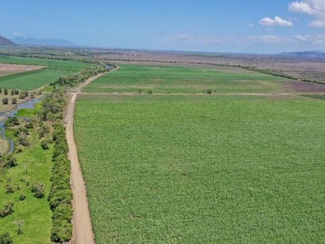 Cottage for sale in Fredericksfield, Queensland